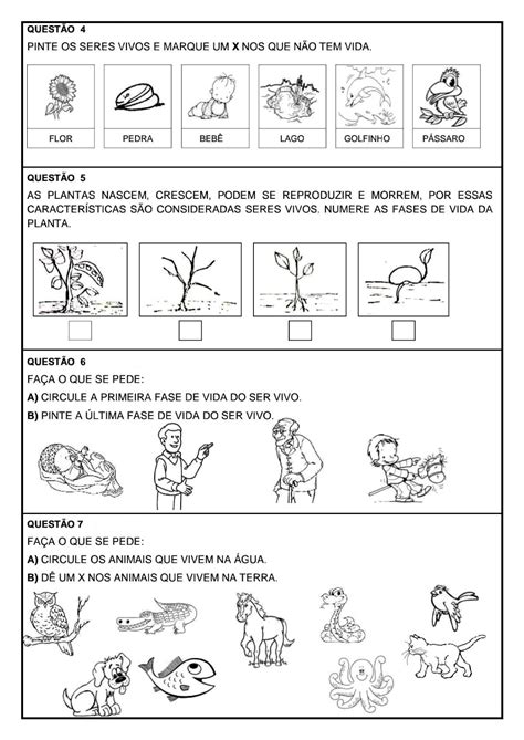 Ci Ncias Seres Vivos Atividade De Ci Ncias Sobre Seres Vivos 43200