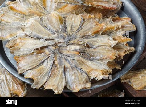 Raw Dried Salted Sepat Fish Or Malay Called Ikan Sepat Kering Is A