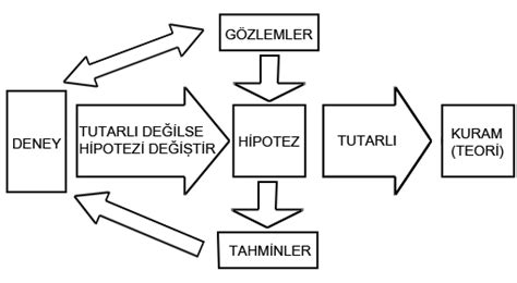 Bilimsel Y Ntem Nedir Bilimsel Y Ntemin Zellikleri Ve Basamaklar