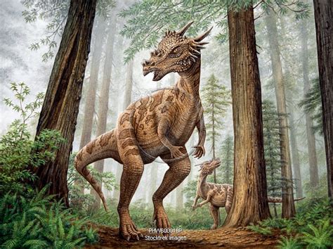 Dracorex Dinosaurs Hunting For Prey In A Cretaceous Forest Stocktrek