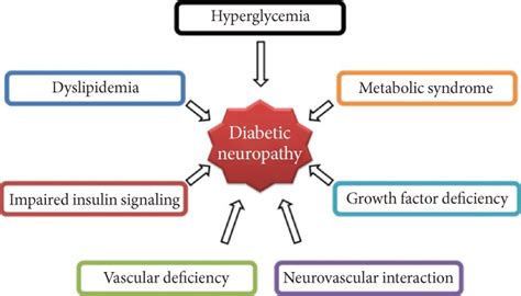 Pathogenesis Of Diabetic Neuropathy Dn Metabolic Interactions