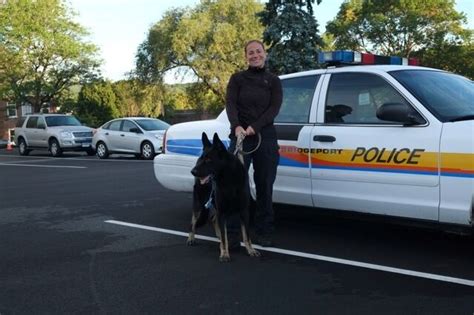 Bridgeport Police Announces K 9 Training For Officers