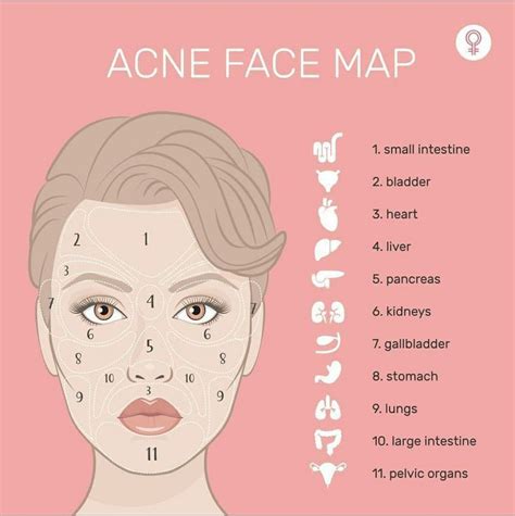 Facial Routine Skincare Face Skin Care Routine Skin Advice Skin Care