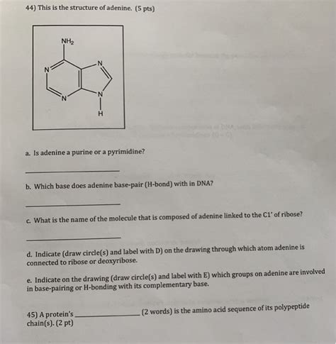 Solved This Is The Structure Of Adenine Pts Nh A Chegg