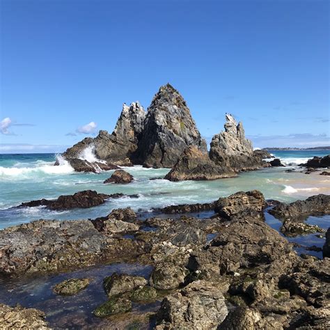 Visit Bermagui: Best of Bermagui Tourism | Expedia Travel Guide