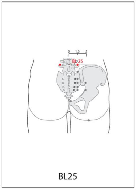 Bl 25 Acupuncture Point Acupuncture Point Locations Review