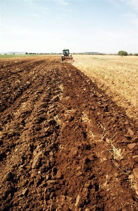 Los Precios De La Tierra Para Uso Agrícola Bajan Por Sexto Año