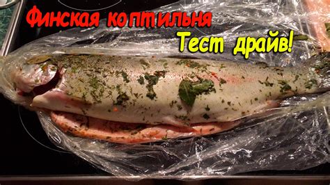Коптильня финская | В Финляндию из Колпино | Финская домашняя коптильня ...