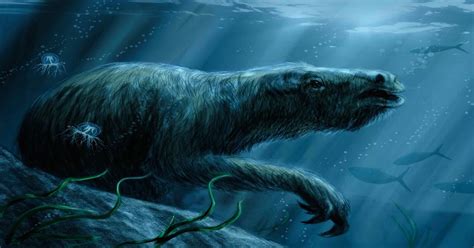 Thalassocnus Was A Giant Marine Sloth That Likely Grazed Sea Grass Like