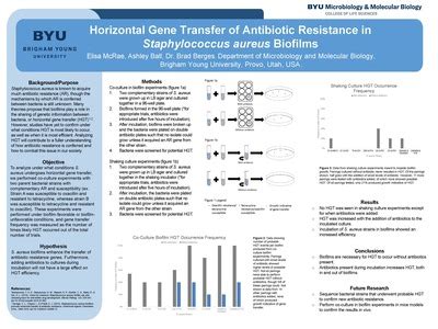 Horizontal Gene Transfer Of Antibiotic Resistance In Staphylococcus Au