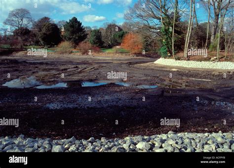 The Drained Lake In Kew Gardens Surrey UK Stock Photo Alamy