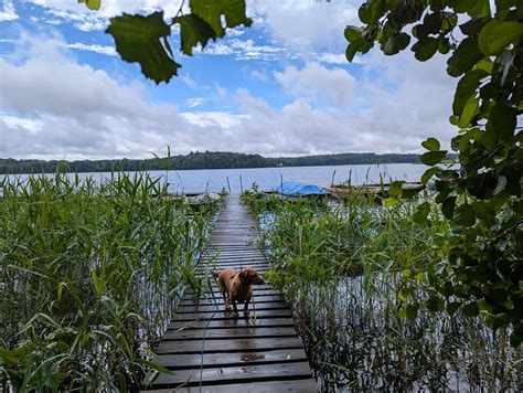 Hunderunde Ein Bisschen Blauer Himmel Foto Petra Wruck Petra