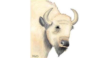 Drawing of Bison by GreyhoundMama - Drawize Gallery!