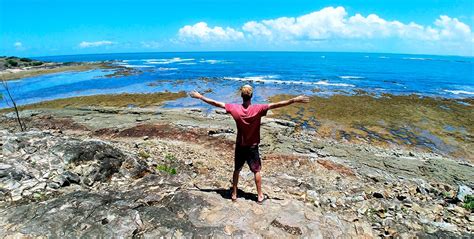 Vivo Porto De Galinhas Passeio Para Ilha De Santo Aleixo