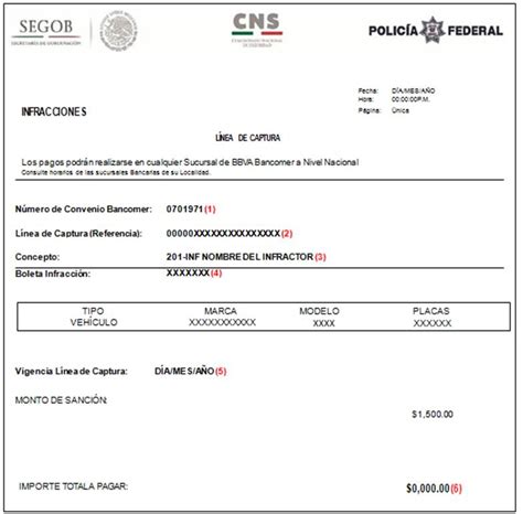 Procedimiento Para El Pago De Infracciones En Carreteras Federales