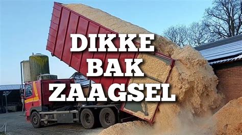 Beste Dikke Bak Zaagsel Gestort 55 Kuub Boer Gerrit Vlogt YouTube