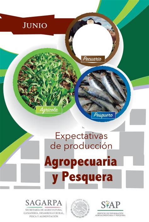 PDF Expectativas de producción Agropecuaria y Pesqueras3 amazonaws