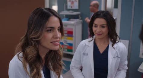 Grey’s Anatomy Season 20 Just Teased The Show’s Next Great Couple Greysanatomy Fans