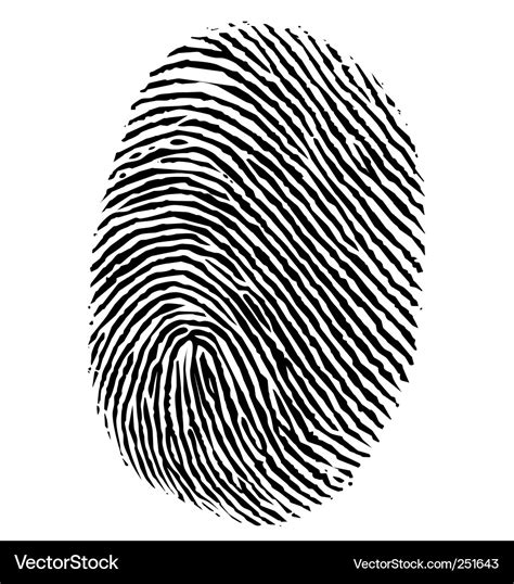 Fingerprint Royalty Free Vector Image VectorStock