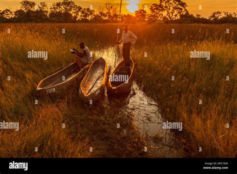 Two Native Men With Makoro Dugout Canoes Highlighted By Orange Glow Of