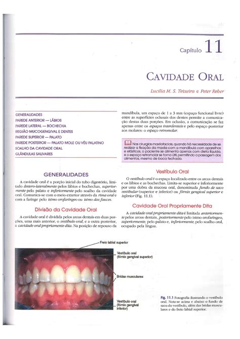 Cap Cavidade Oral Cirurgia Oral Unifal Mg Studocu