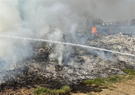 Incendio A Busto Garolfo A Fuoco 1 500 Metri Quadri Di Verde LegnanoNews