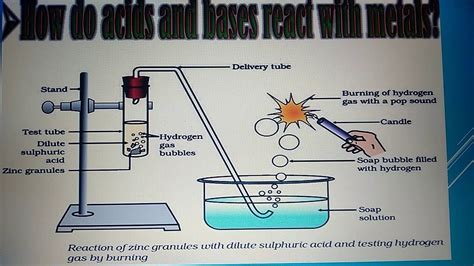 Reaction Of Acid And Base With Metal Youtube