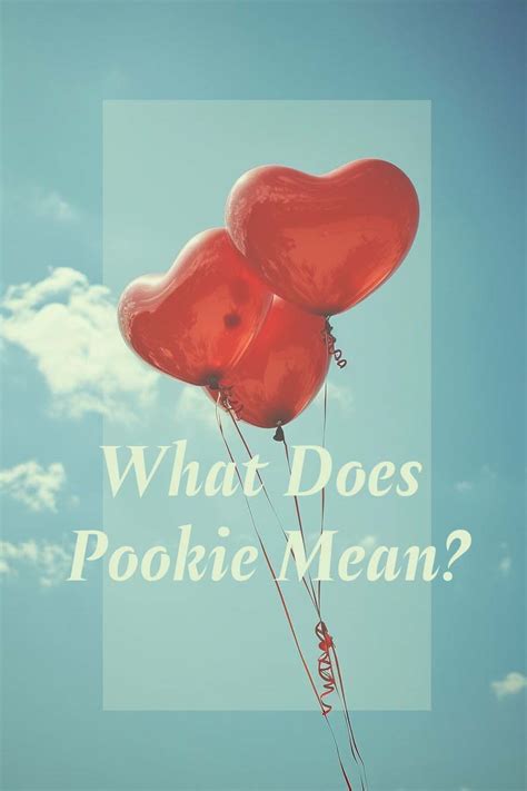 What Does Pookie Mean Wot Does