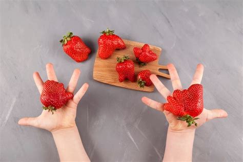 Frutas Feias As M Os Das Crian As Oferecem Morangos Maduros Engra Ados