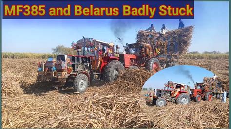 Tractor Fail Mf 385 And Belarus Badly Stuck Belarus Lamborghini