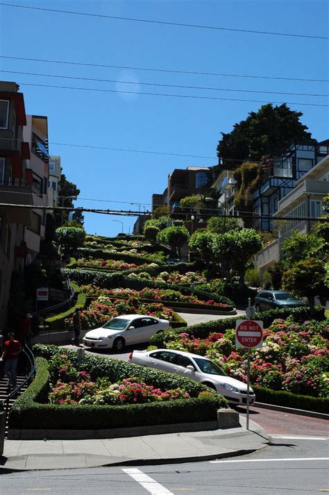 Lombard Street, San Francisco 2 Free Photo Download | FreeImages