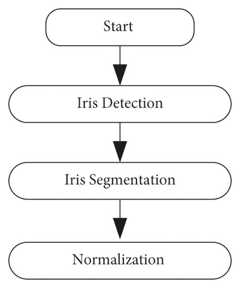 Flowchart Of The Iris Recognition Download Scientific Diagram