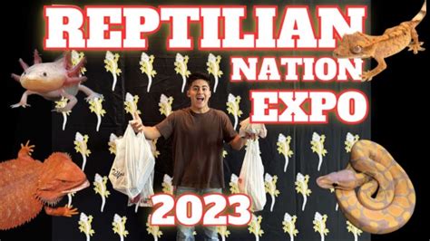 Reptilian Nation Expo Youtube