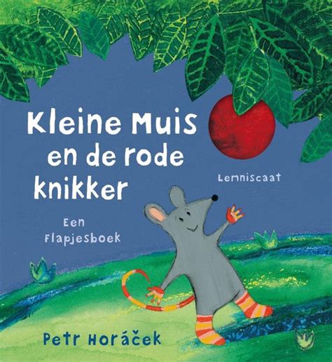 Kleine Muis En De Rode Knikker Petr Horacek Boeken Bol