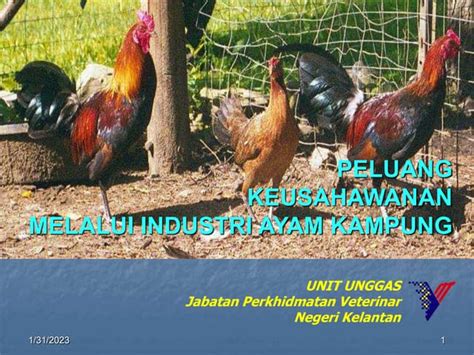 3 Sistem Pemeliharaan Ayam Kpgppt