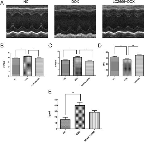 Lcz Improves Cardiac Function Via Alleviating Drp Mediated