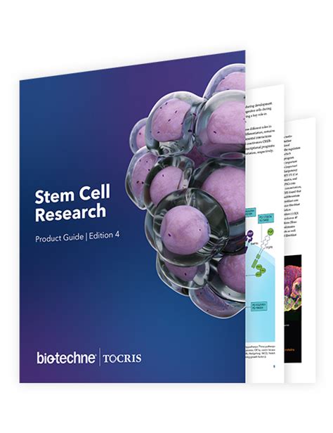 Stem Cell Research Product Guide Bio Techne