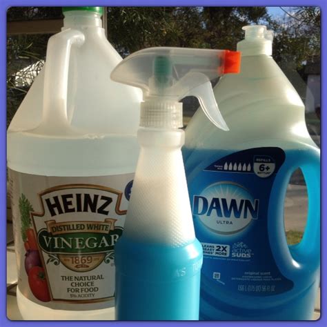 Best Surface Cleaner Ever Mix Blue Dawn Dish Soap And Vinegar Until Liquified Enough To Spray