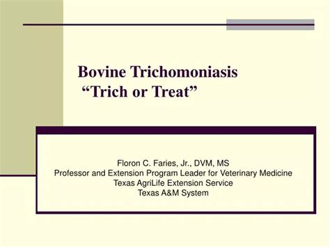 Ppt Bovine Trichomoniasis Trich Or Treat” Powerpoint Presentation