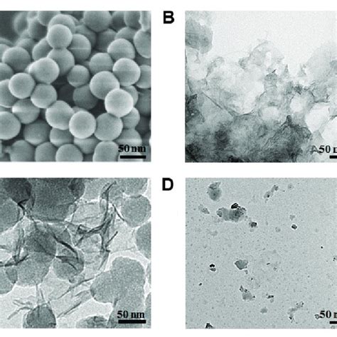 A Sem Image Of Sio Nh Nss B Tem Image Of Mno Nanosheets