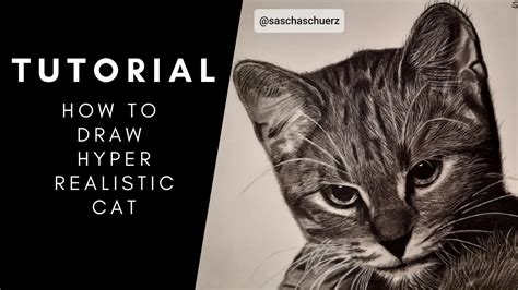 How To Draw Hyper Realistic Cat Kitty For Beginners And Pro´s Full Step By Step Technique