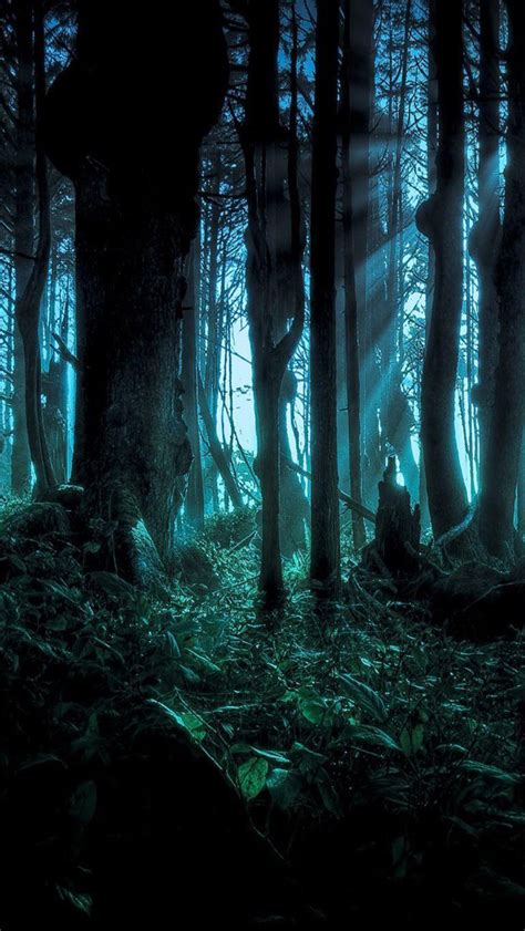 Creepy Forest Wallpaper - WallpaperSafari