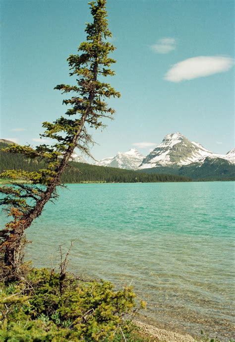 Glacier Lake in Banff National Park · Free Stock Photo