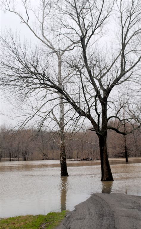 Big Muddy River floods into Riverside Park : Murphysboro