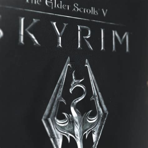 The Elder Scrolls V Skyrim Cover Art Retro Games Crafts