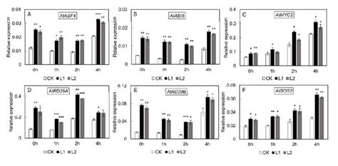 Relative Expression Of Reference Genes Under Salt Stresses In