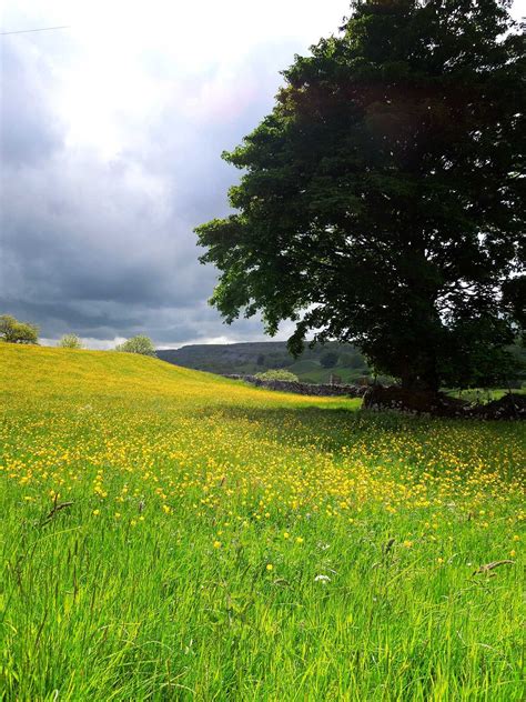 So Peaceful The Meadows Pasture Fields Country Roads Cottage Peace