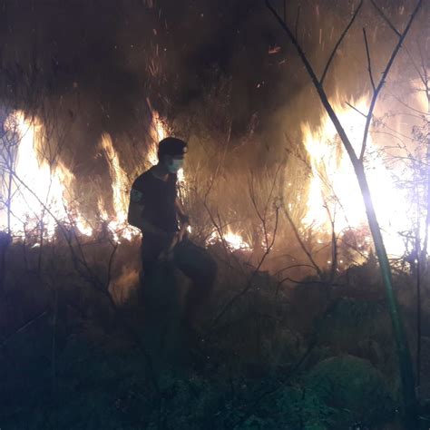 Ober Un Incendio Redujo Una Vivienda A Cenizas Primera Edici N