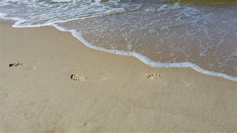 Kostenlose Foto Strand Meer Küste Sand Ufer Welle Fußabdruck