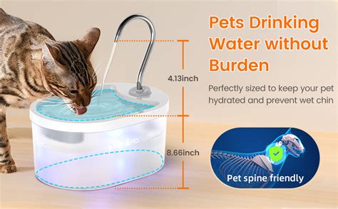 Amazon Petlipo Cat Water Fountain L Oz Super Silent Pet